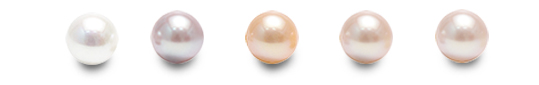 Les couleurs naturelles des perles d'eau douce
